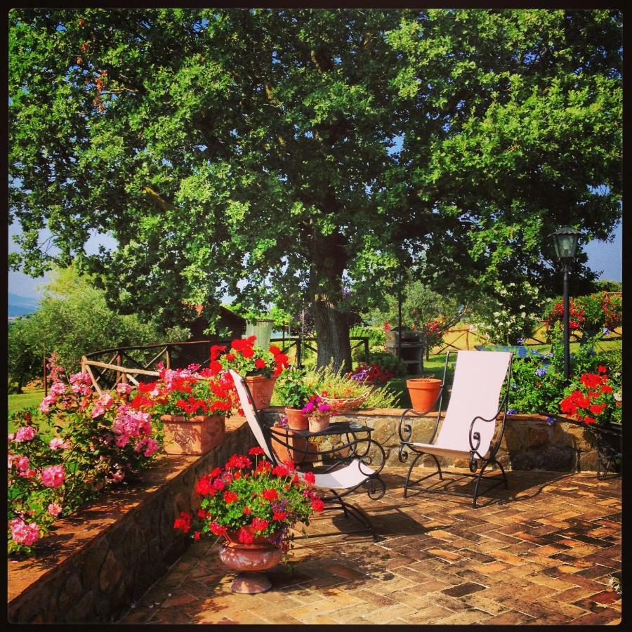 Casale Giacomini Bed & Breakfast Manciano Exterior photo